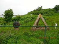 Beschreibung: CIMG2456