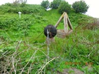 Beschreibung: CIMG2457