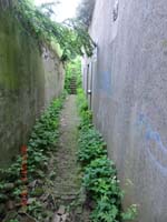 Beschreibung: CIMG2543