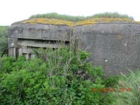 Beschreibung: CIMG2567