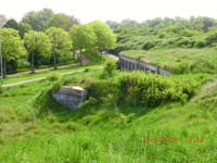 Beschreibung: CIMG2606