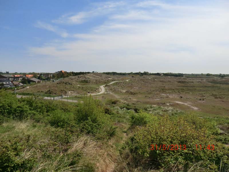 CIMG2660