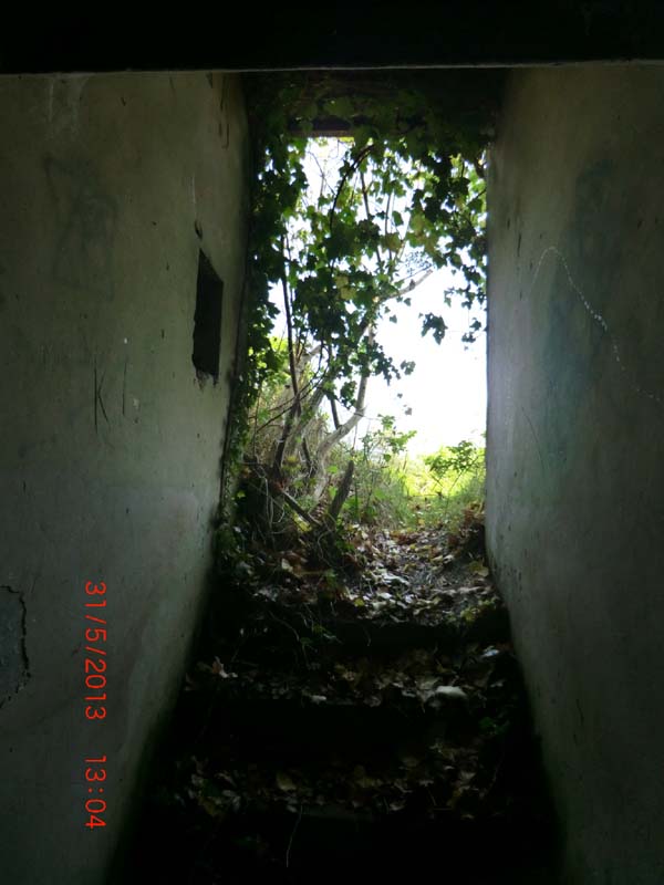 CIMG2734