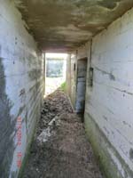Beschreibung: CIMG2806