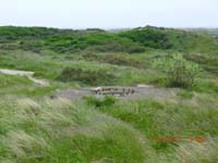 Beschreibung: CIMG2930