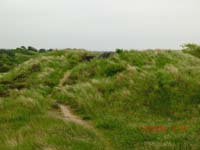 Beschreibung: CIMG2934