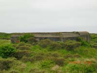 Beschreibung: CIMG2935