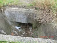 Beschreibung: CIMG2937