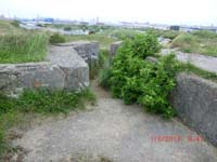 Beschreibung: CIMG2942