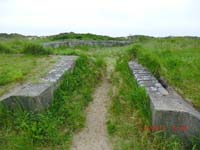 Beschreibung: CIMG2949