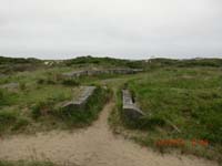 Beschreibung: CIMG2950