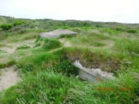 Beschreibung: CIMG2960