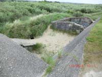 Beschreibung: CIMG2966