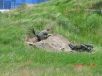 Beschreibung: CIMG2864